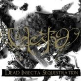 Celestia(Fra)Dead Insecta Sequestration