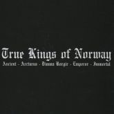 TRUE KINGS OF NORWAY(Nor)-Ancient - Arcturus - Dimmu Borgir - Emperor - Immortal(Compilaçao/Imp)