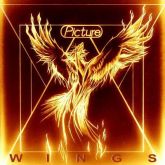 PICTURE (Hol)-Wings(Slipcase)